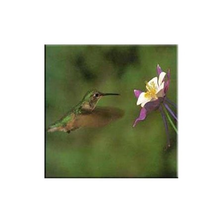 FASTFOOD McGowan  Tuftop Hummingbird and Columbine Trivet FA747977